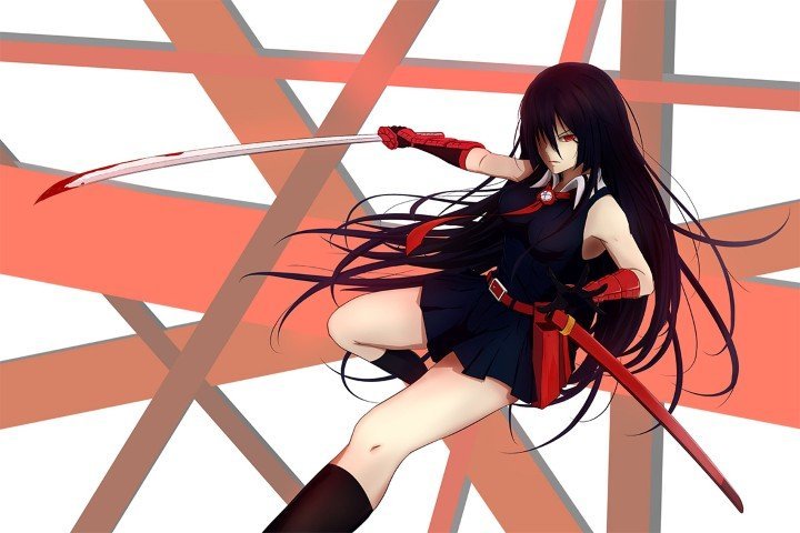 لوحة Akame ga Kill! – قطعة واحدة – برشة أحجام | ديكور دارك