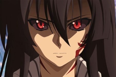 لوحة Akame ga Kill! – قطعة واحدة – برشة أحجام | ديكور دارك