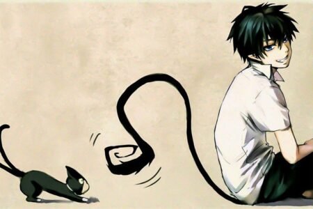 Blue Exorcist – 1 Panneau – Plusieurs Tailles | Décoration Maison