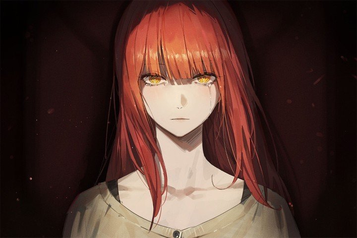 Chainsaw Man – 1 Panneau – Plusieurs Tailles | Décoration Maison