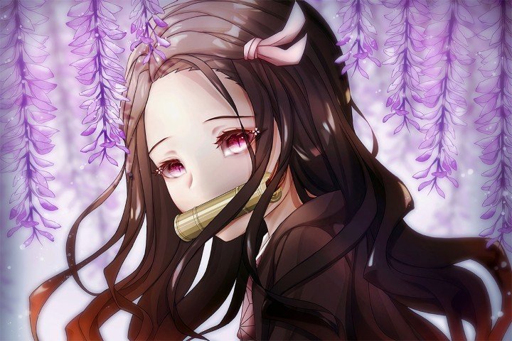 Demon Slayer – 1 Panel – Multiple Sizes | Home Decor