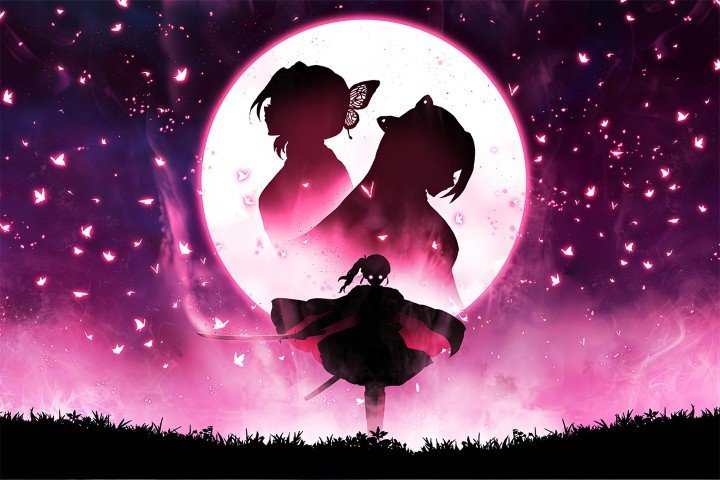 Demon Slayer – 1 Panneau – Plusieurs Tailles | Décoration Maison