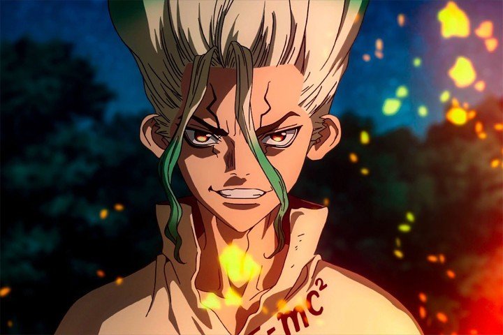 Dr Stone – 1 Panneau – Plusieurs Tailles | Décoration Maison