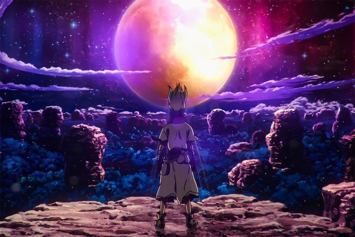 Dr Stone – 1 Panneau – Plusieurs Tailles | Décoration Maison