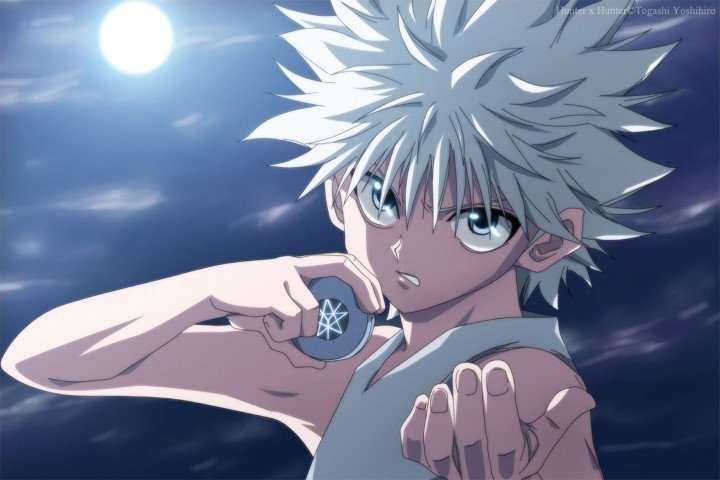 Hunter × Hunter – 1 Panel – Multiple Sizes | Home Decor