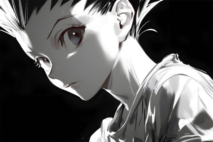 Hunter × Hunter – 1 Panel – Multiple Sizes | Home Decor