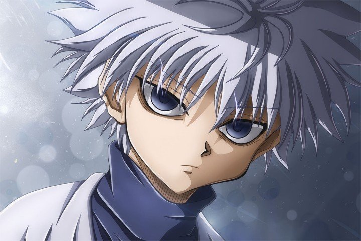 Hunter × Hunter – 1 Panneau – Plusieurs Tailles | Décoration Maison