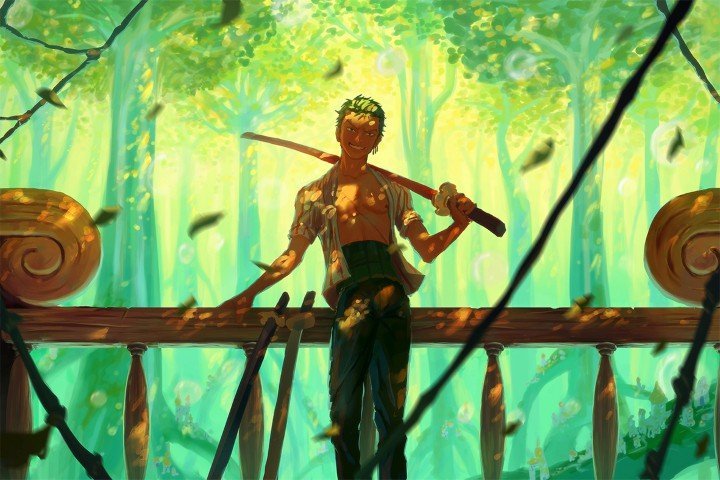 One Piece – 1 Panel – Multiple Sizes | Home Decor