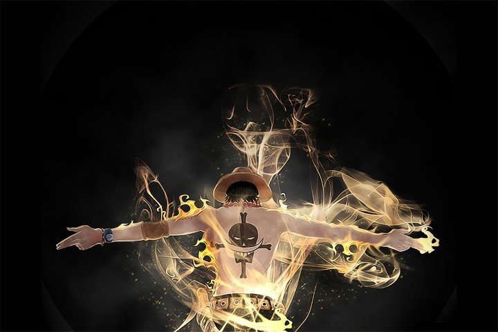 One Piece – 1 Panel – Multiple Sizes | Home Decor