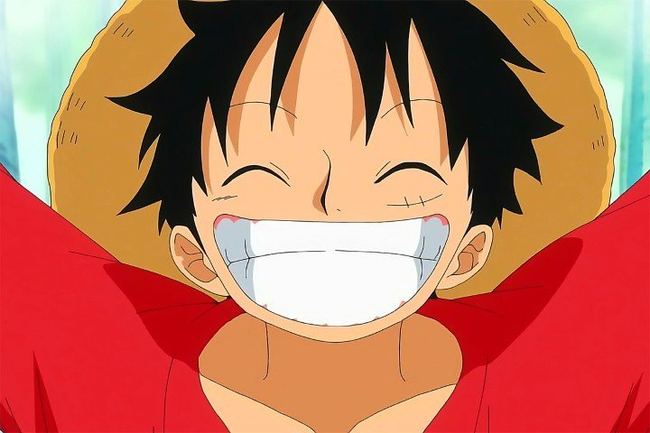 One Piece – 1 Panel – Multiple Sizes | Home Decor