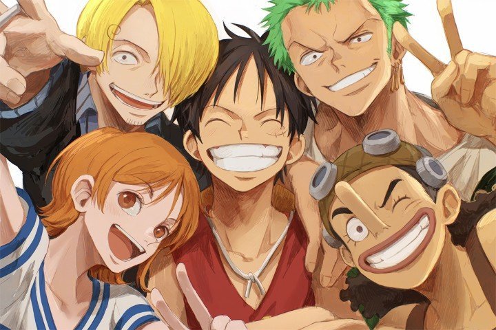 One Piece – 1 Panel – Multiple Sizes | Home Decor