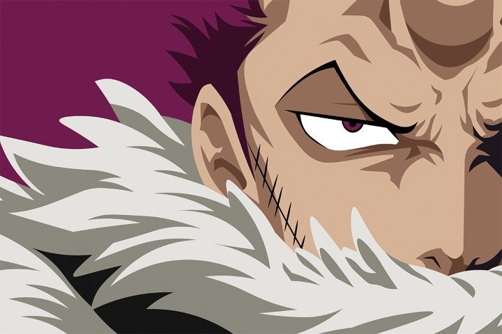 One Piece – 1 Panel – Multiple Sizes | Home Decor