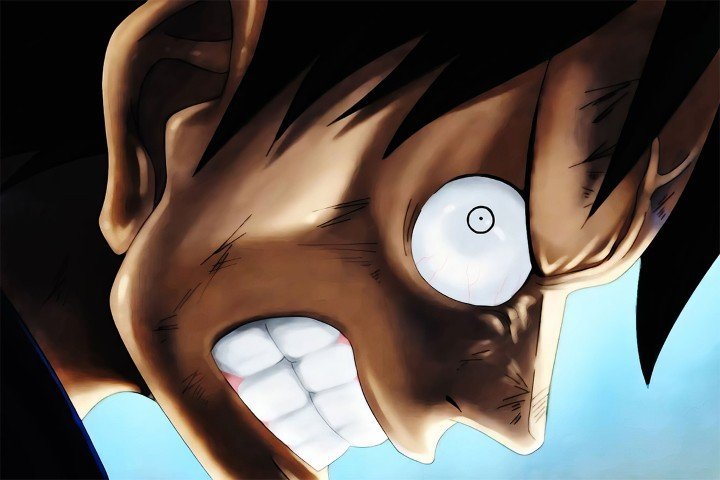 One Piece – 1 Panel – Multiple Sizes | Home Decor