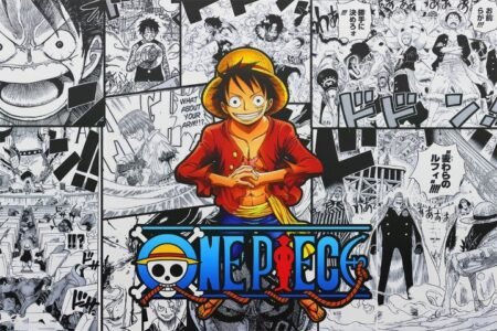 One Piece – 1 Panel – Multiple Sizes | Home Decor