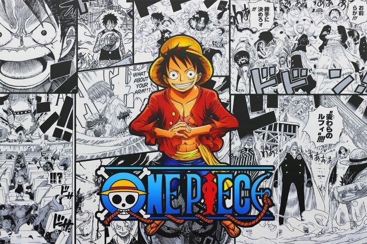 One Piece – 1 Panel – Multiple Sizes | Home Decor