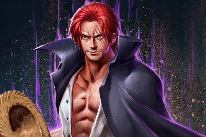 One Piece – 1 Panel – Multiple Sizes | Home Decor