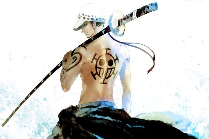 One Piece – 1 Panel – Multiple Sizes | Home Decor