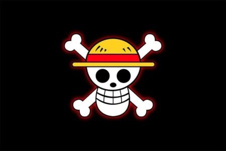 One Piece – 1 Panel – Multiple Sizes | Home Decor