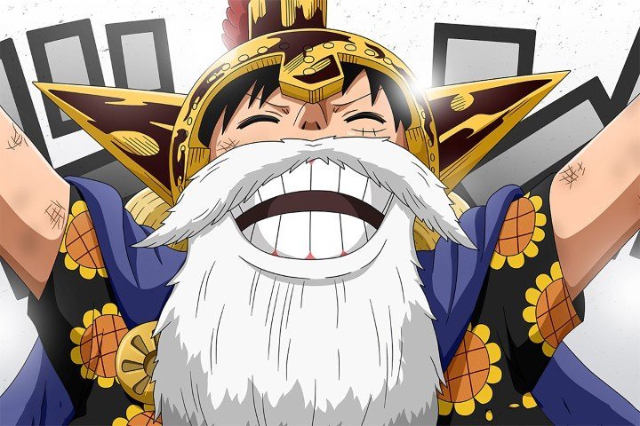 One Piece – 1 Panel – Multiple Sizes | Home Decor