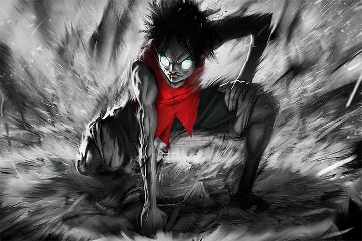 One Piece – 1 Panel – Multiple Sizes | Home Decor