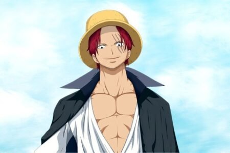 One Piece – 1 Panel – Multiple Sizes | Home Decor