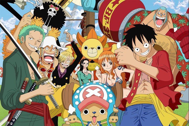 One Piece – 1 Panel – Multiple Sizes | Home Decor