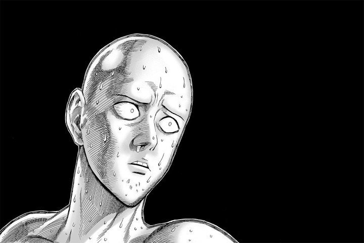 One‑Punch Man – 1 Panel – Multiple Sizes | Home Decor