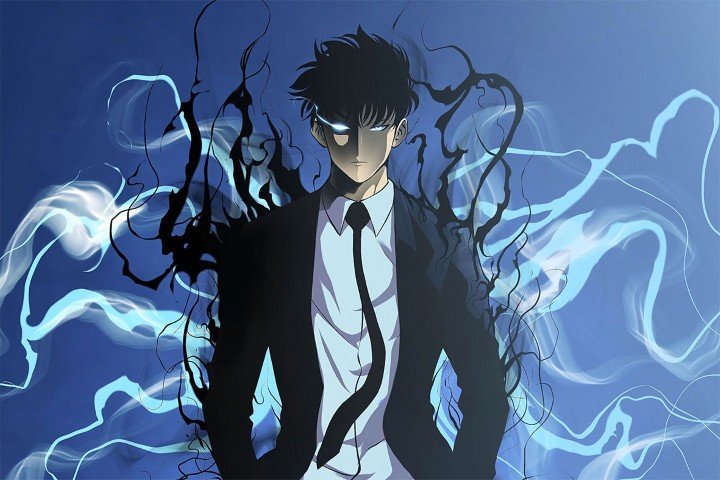 Solo Leveling – 1 Panel – Multiple Sizes | Home Decor