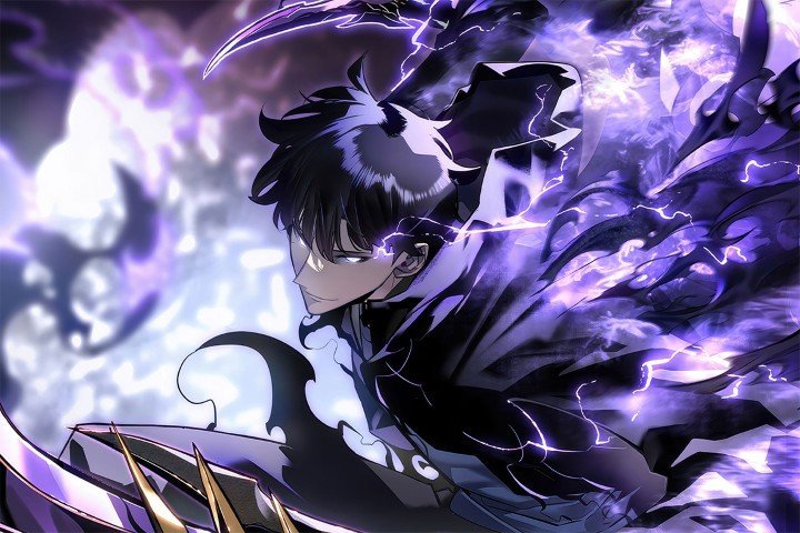 Solo Leveling – 1 Panel – Multiple Sizes | Home Decor