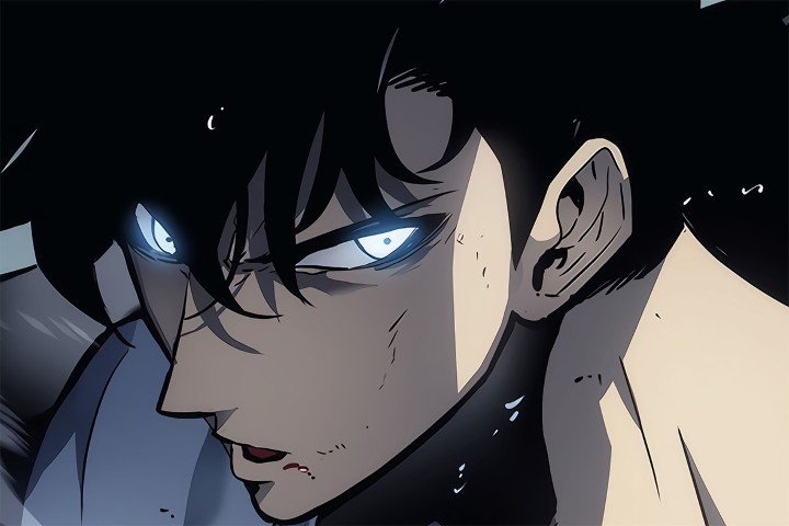 Solo Leveling – 1 Panel – Multiple Sizes | Home Decor