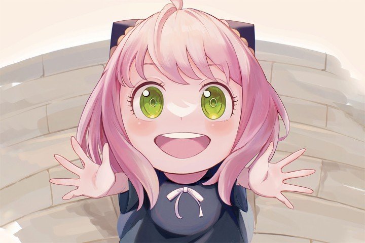 Spy × Family – 1 Panneau – Plusieurs Tailles | Décoration Maison