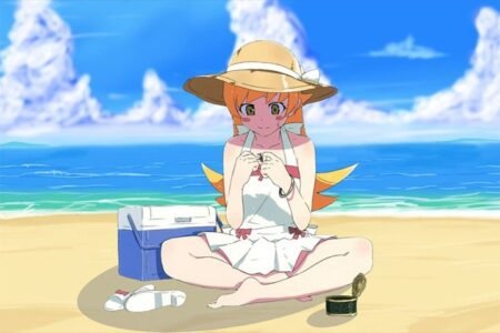 The Monogatari Series – 1 Panel – Multiple Sizes | Home Decor