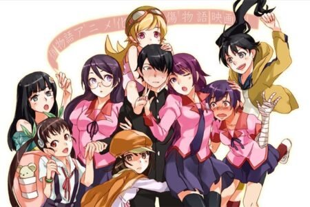 The Monogatari Series – 1 Panel – Multiple Sizes | Home Decor