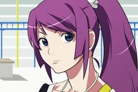 The Monogatari Series – 1 Panel – Multiple Sizes | Home Decor