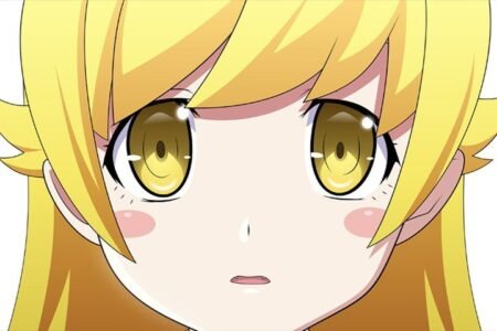 The Monogatari Series – 1 Panel – Multiple Sizes | Home Decor