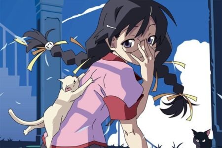 The Monogatari Series – 1 Panel – Multiple Sizes | Home Decor