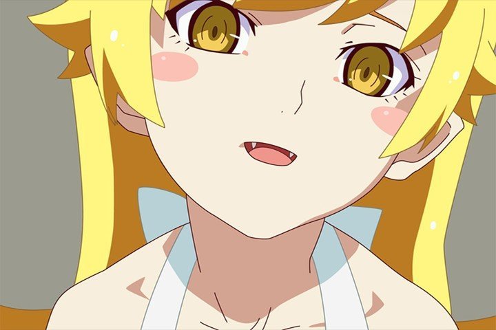 The Monogatari Series – 1 Panel – Multiple Sizes | Home Decor