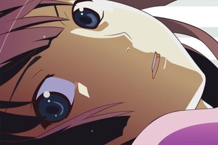 The Monogatari Series – 1 Panel – Multiple Sizes | Home Decor