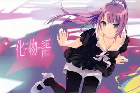 The Monogatari Series – 1 Panel – Multiple Sizes | Home Decor