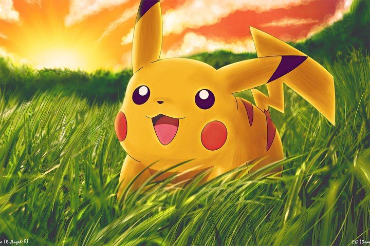 pokemon – 1 Panneau – Plusieurs Tailles | Décoration Maison