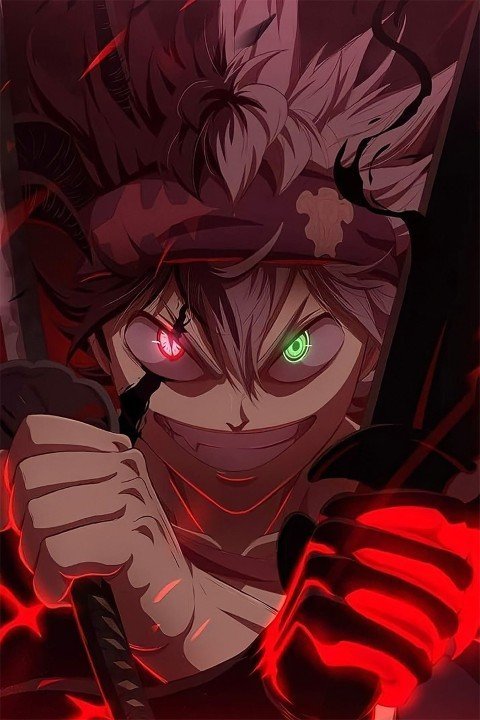 Black Clover – 1 Panneau – Plusieurs Tailles | Décoration Maison