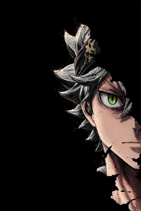 Black Clover – 1 Panneau – Plusieurs Tailles | Décoration Maison