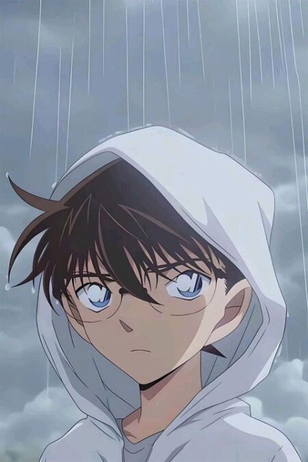 Conan – 1 Panneau – Plusieurs Tailles | Décoration Maison