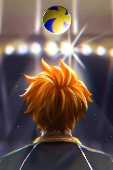 Haikyuu! – 1 Panel – Multiple Sizes | Home Decor