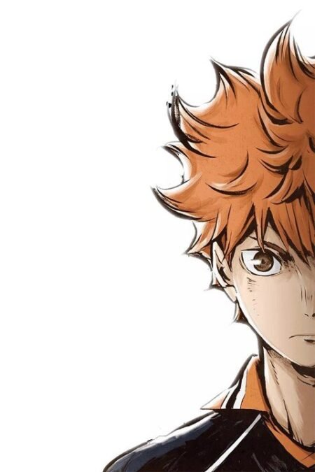 Haikyuu! – 1 Panel – Multiple Sizes | Home Decor