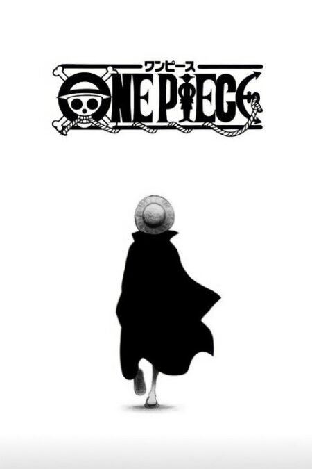 One Piece – 1 Panel – Multiple Sizes | Home Decor