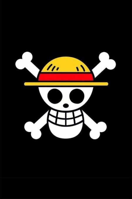 One Piece – 1 Panel – Multiple Sizes | Home Decor