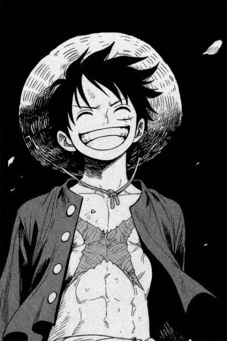 One Piece – 1 Panel – Multiple Sizes | Home Decor