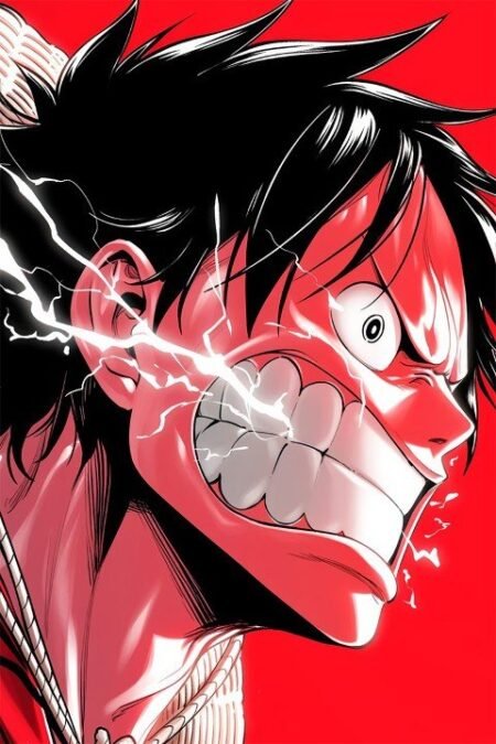 One Piece – 1 Panel – Multiple Sizes | Home Decor