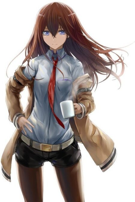 Steins Gate – 1 Panneau – Plusieurs Tailles | Décoration Maison